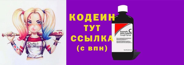 СК Кинешма