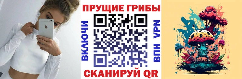 Галлюциногенные грибы прущие грибы  Купить закладки  Гремячинск 